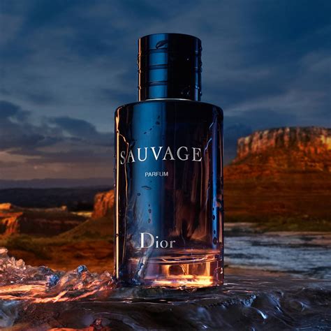 preisvergleich dior sauvage parfum|Dior Sauvage 100ml best price.